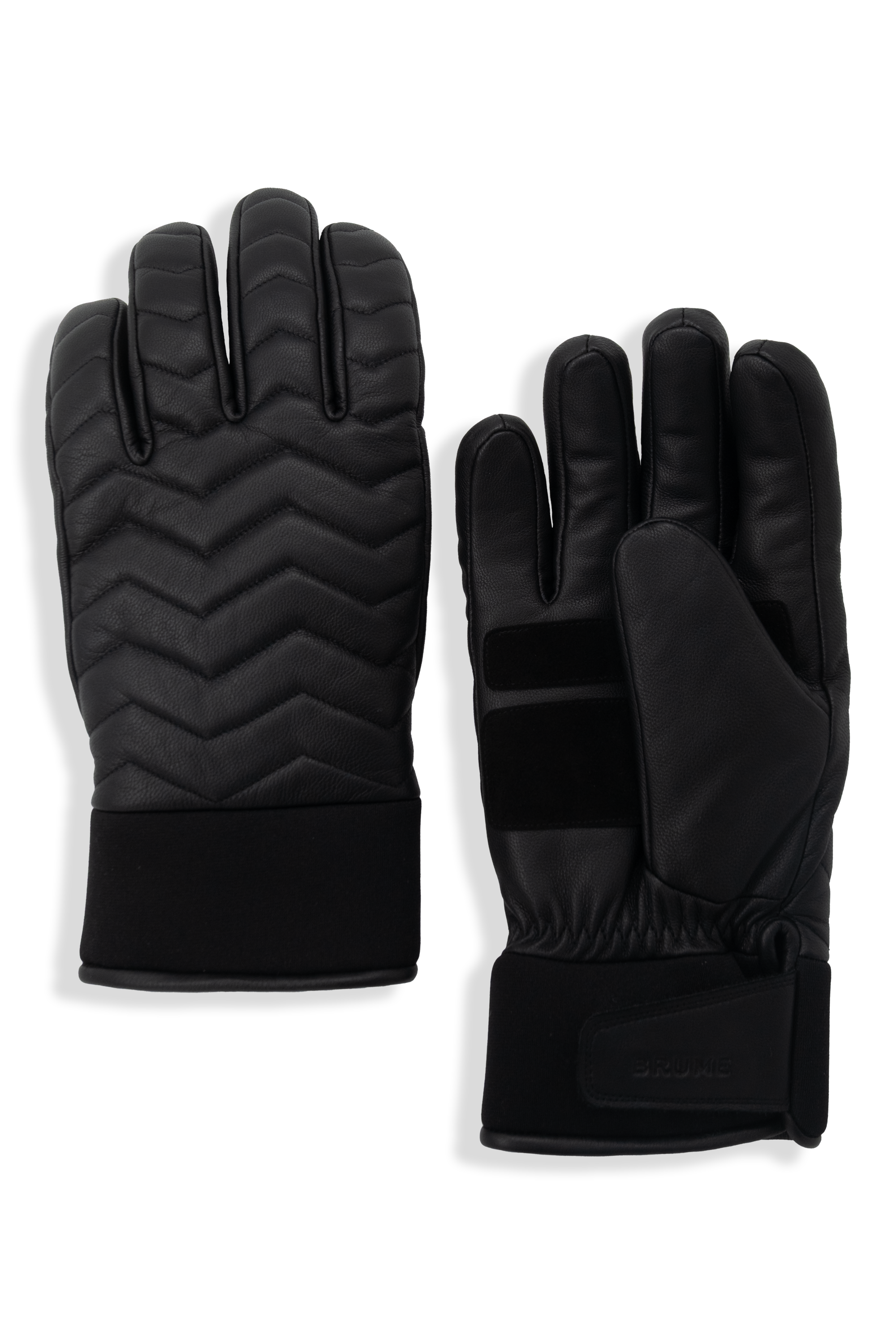 SNOWBIRD LEATHER SKI GLOVES - Men