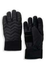 SNOWBIRD LEATHER SKI GLOVES - Men