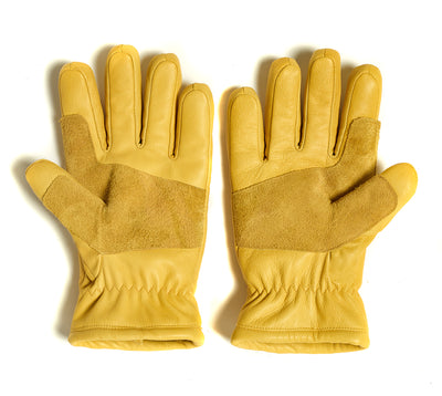 Kasiks Glove