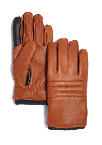 Liard Glove