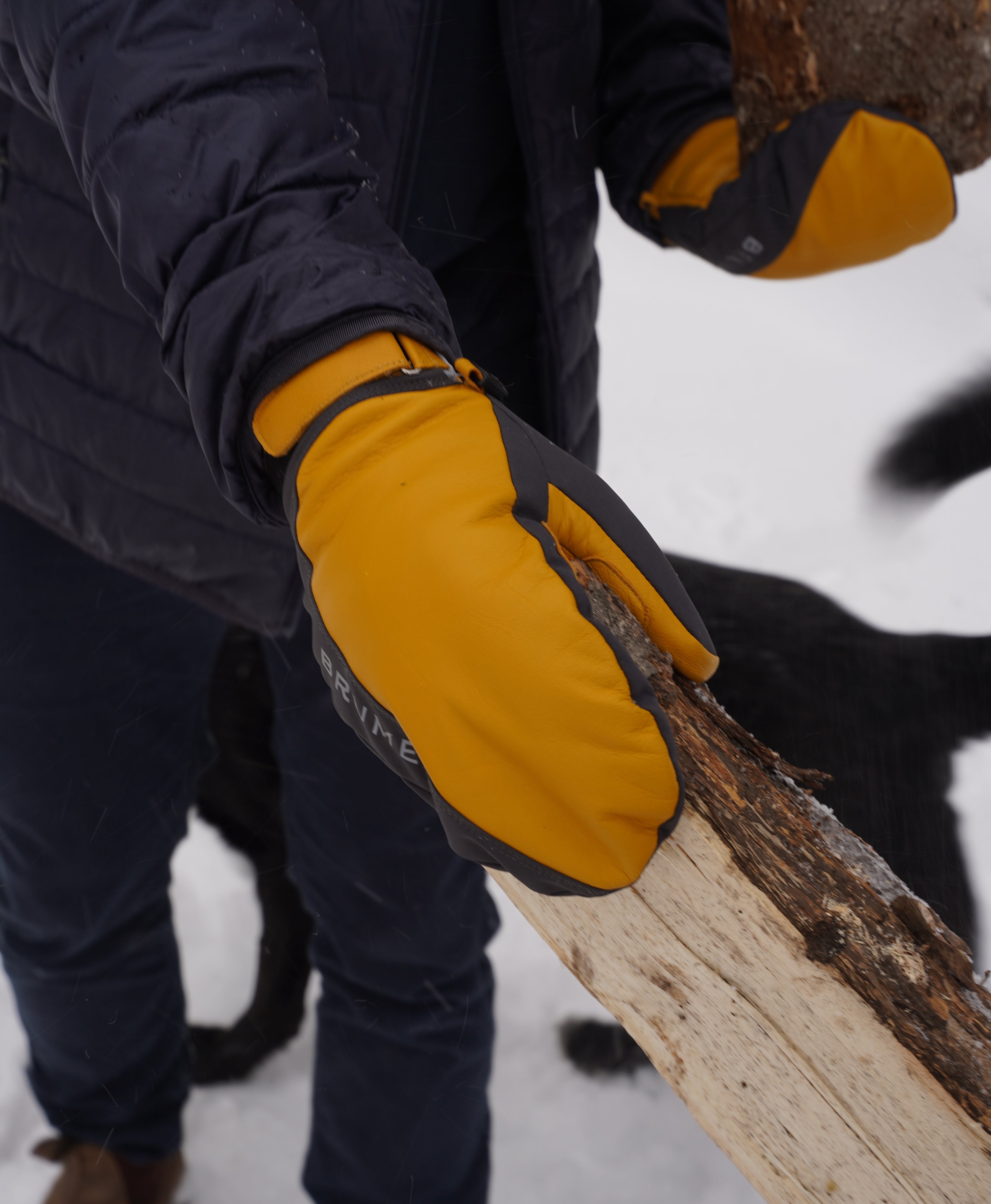 Aulavik Mitt for men